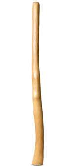 Medium Size Natural Finish Didgeridoo (TW1177
